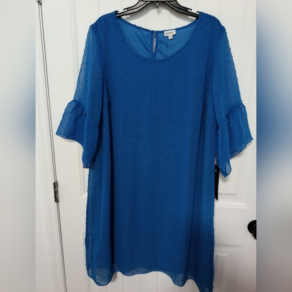New Dotted Swiss Blue Dress / 2X - Picture 6 of 8